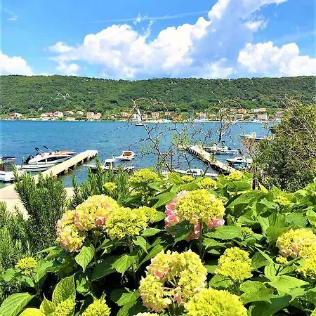 Apartment With Boat Mooring Marija Supetarska Draga
